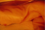 nudo bed3.JPG